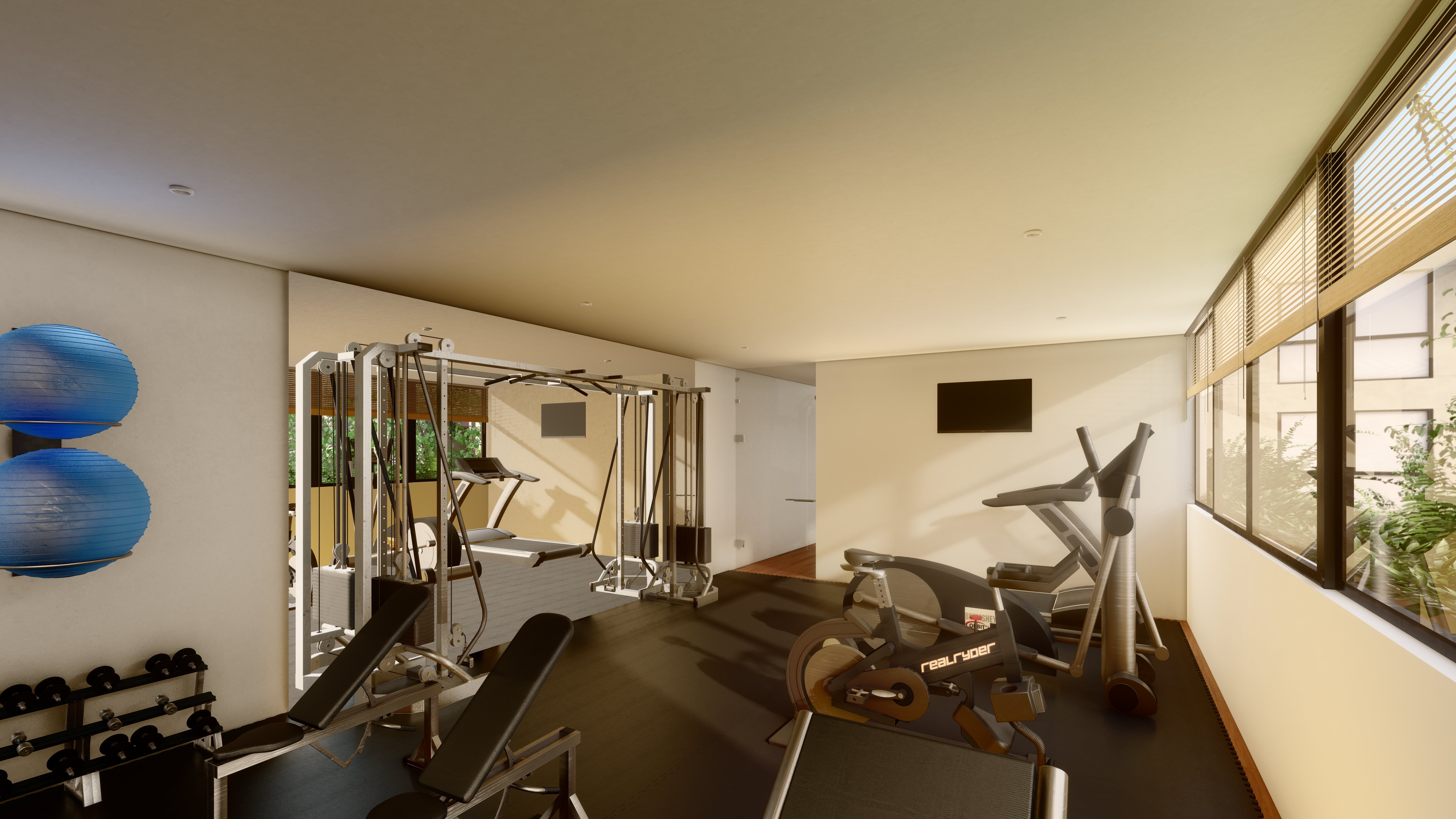 14. GYM 2